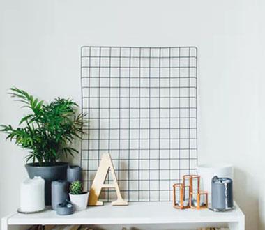 行有道，愛無界。