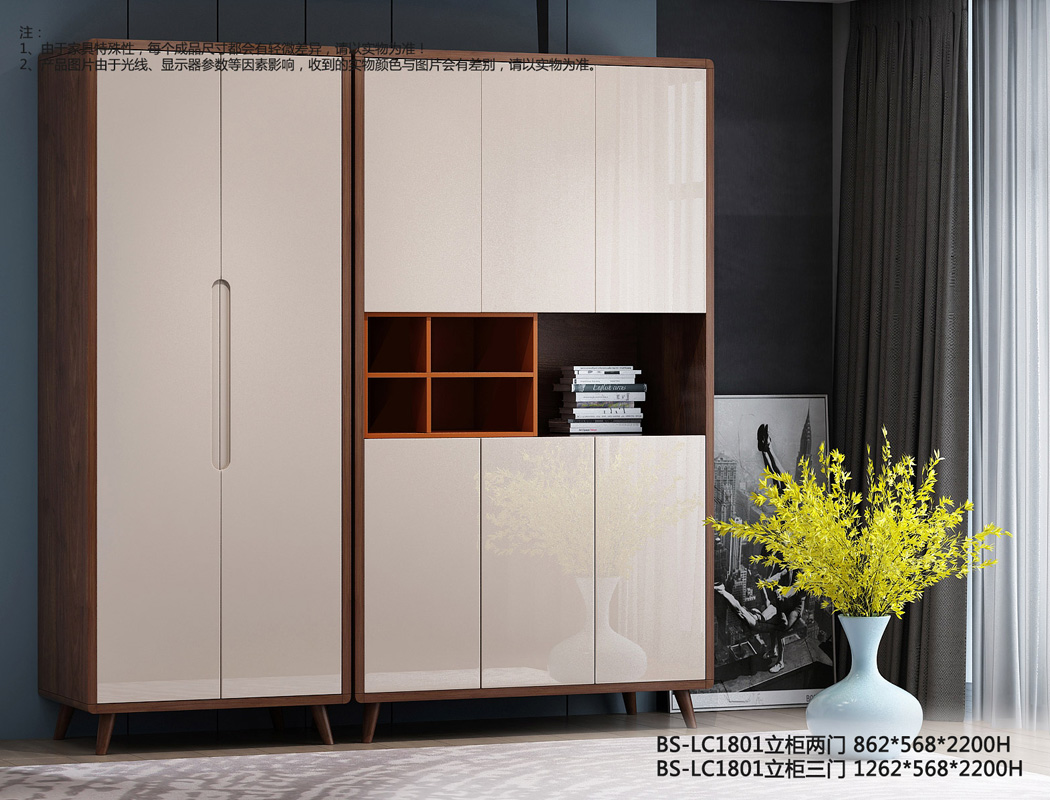 BS-LC1801立柜二門(mén)三門(mén)
